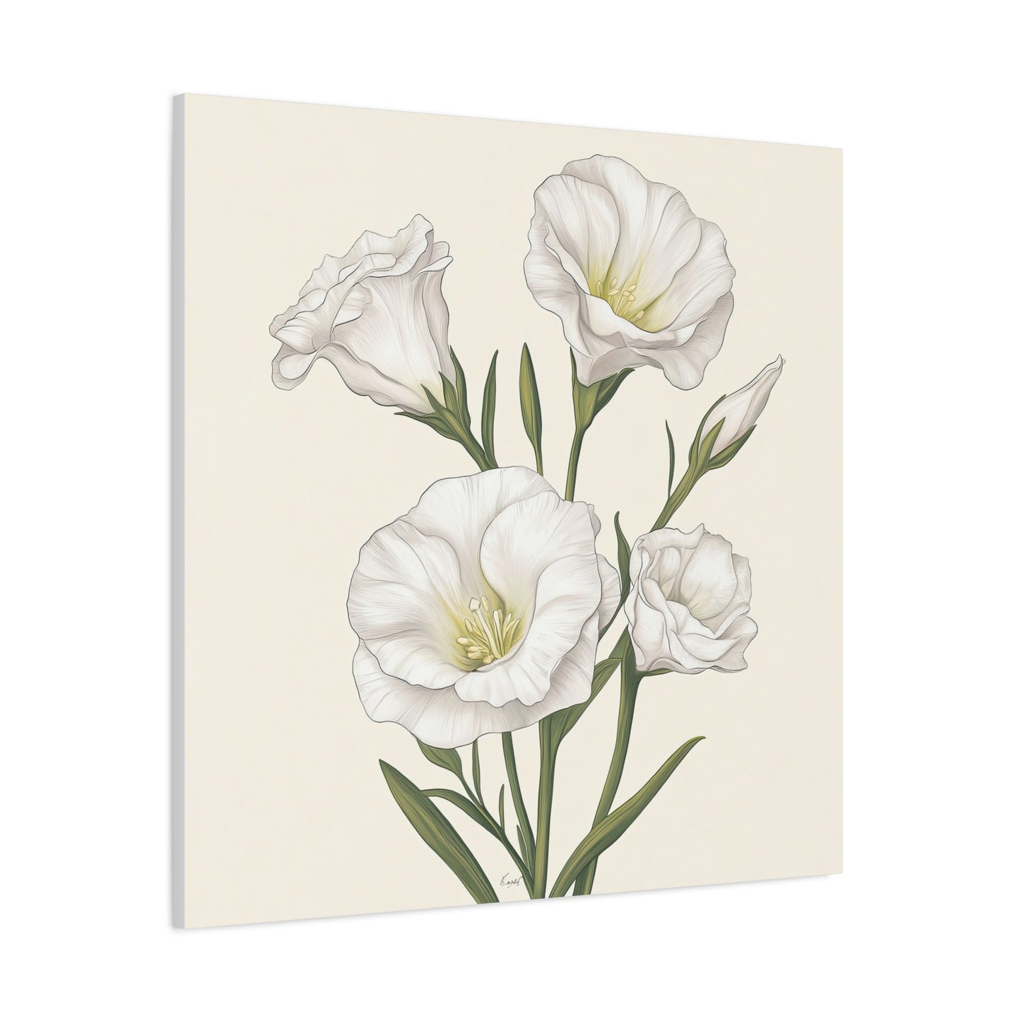 Eustoma 06