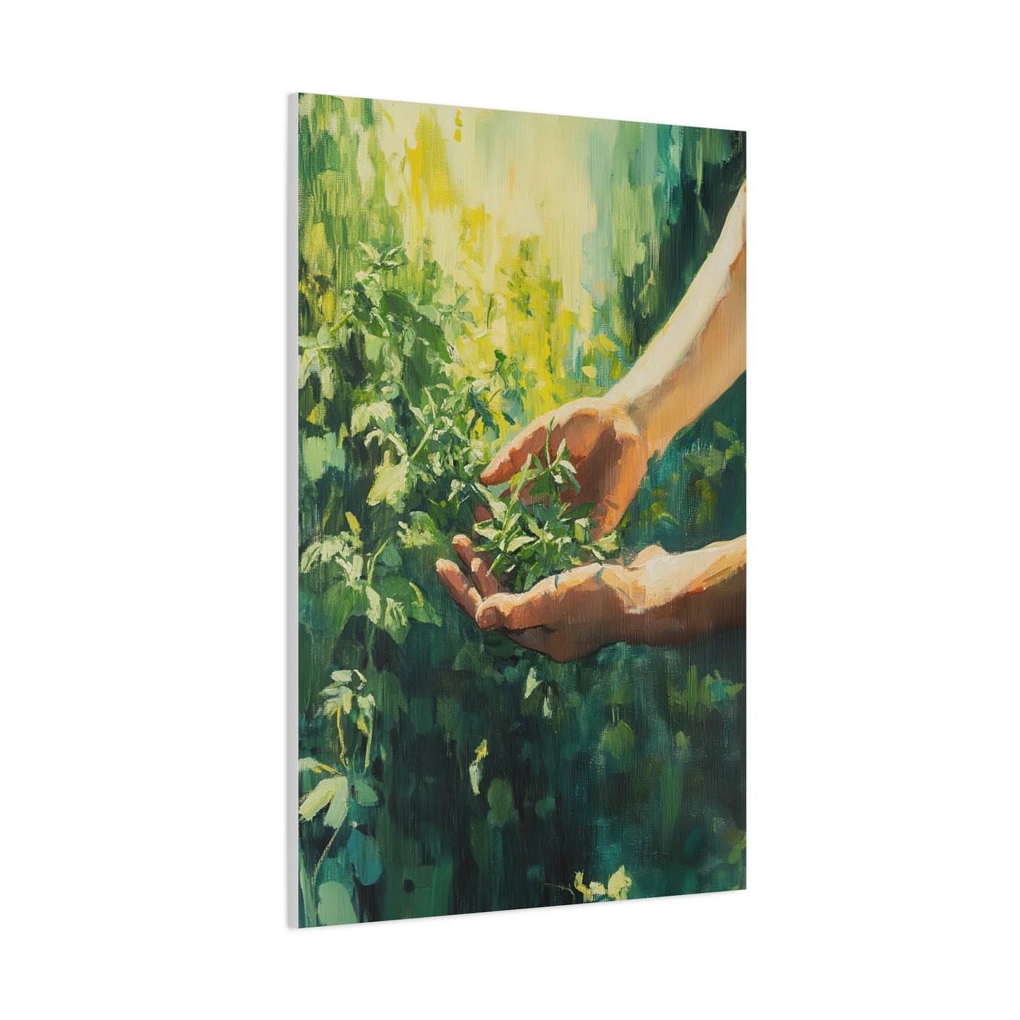 Green Harvest (K_056)