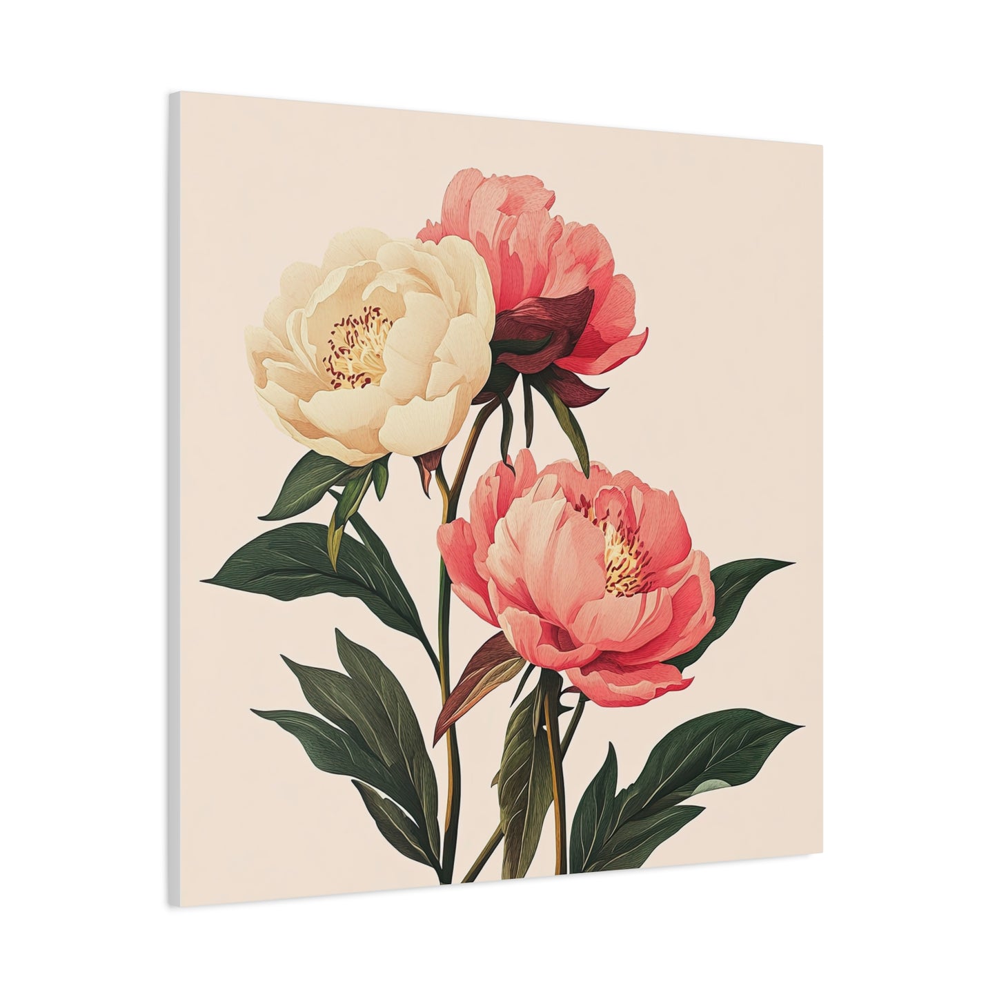Peonies 04