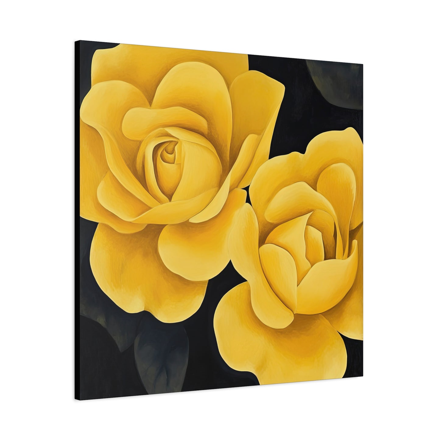 Roses 23