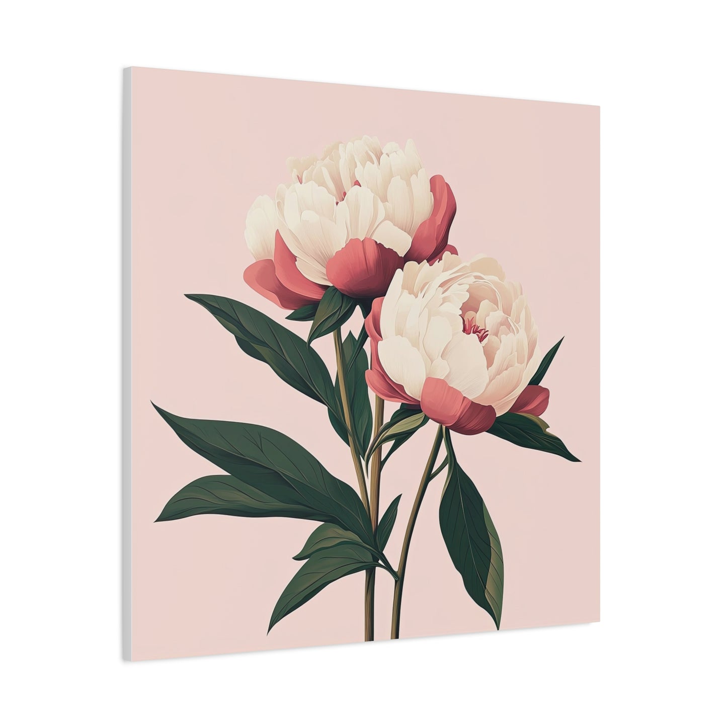 Peonies 08