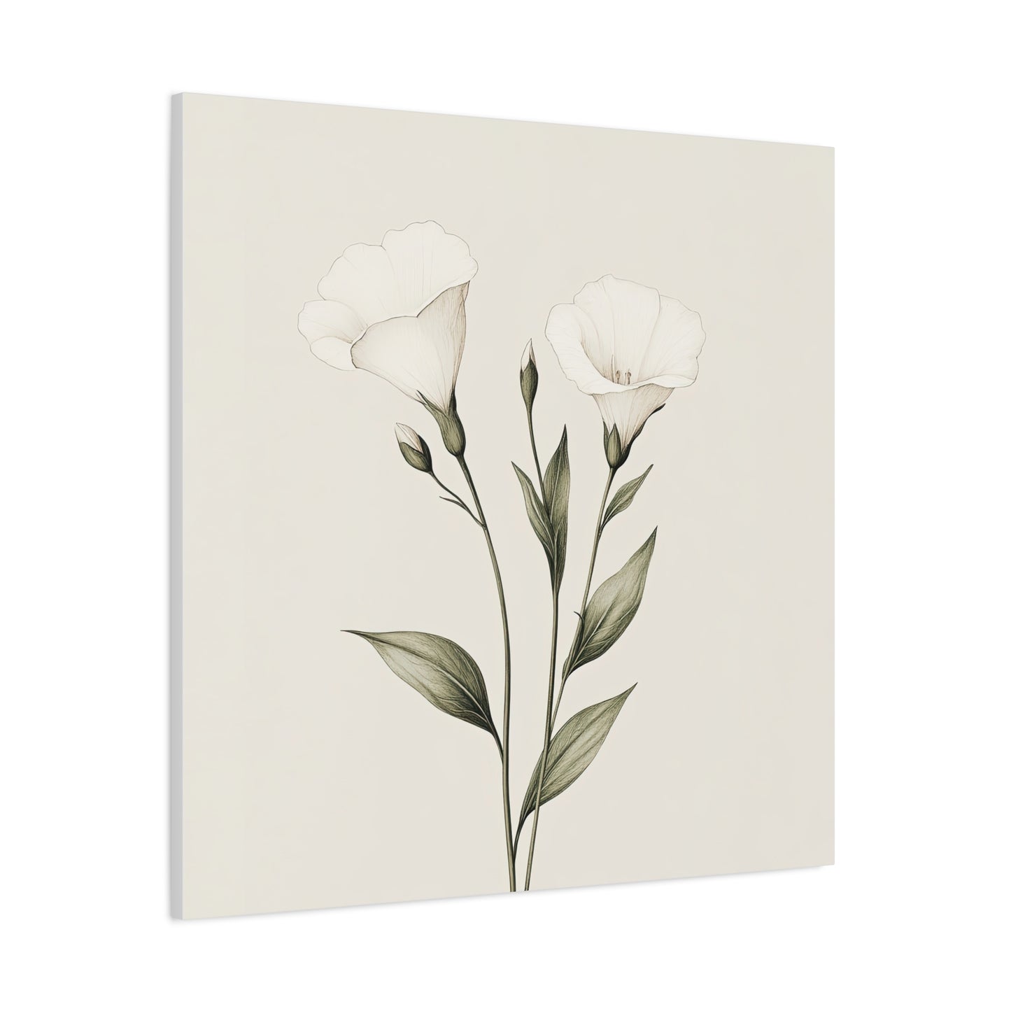 Eustoma 04