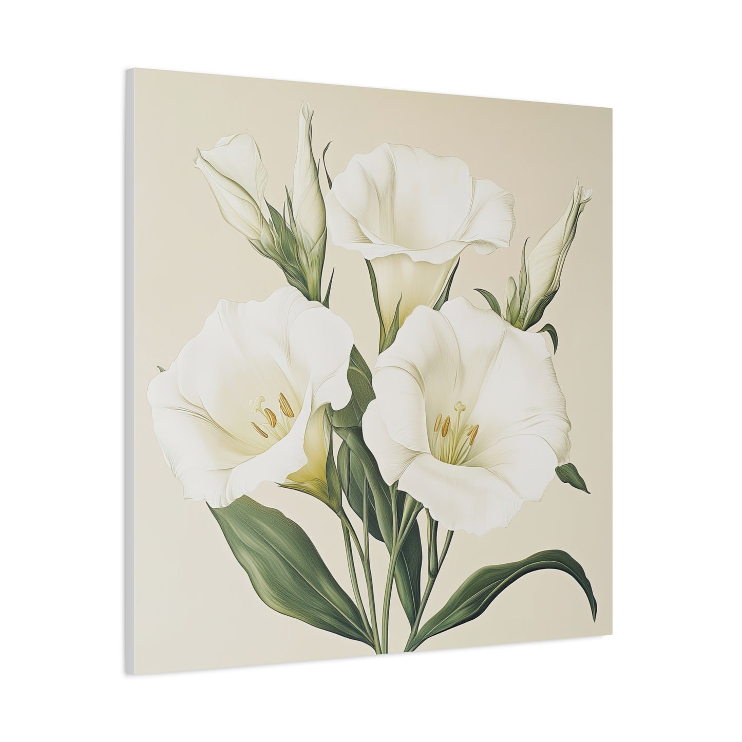 Eustoma 10