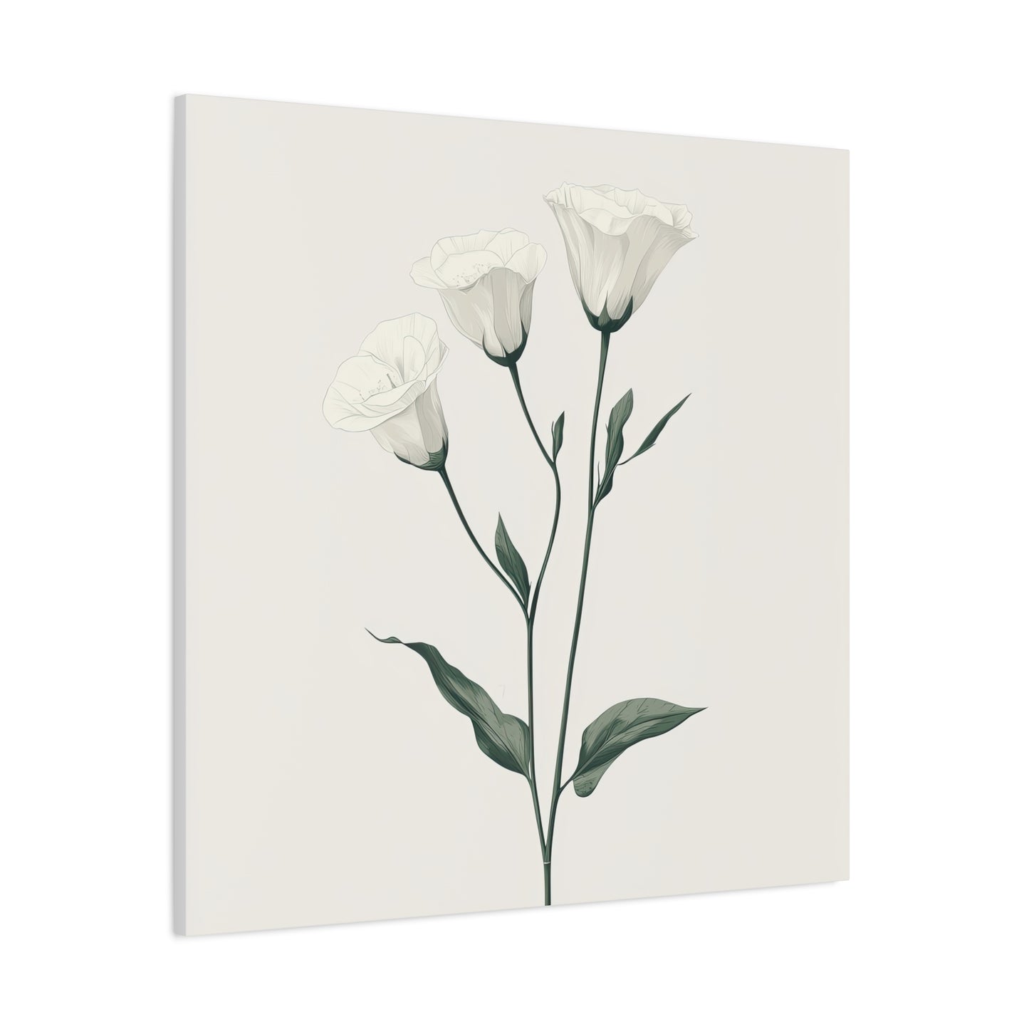 Eustoma 03
