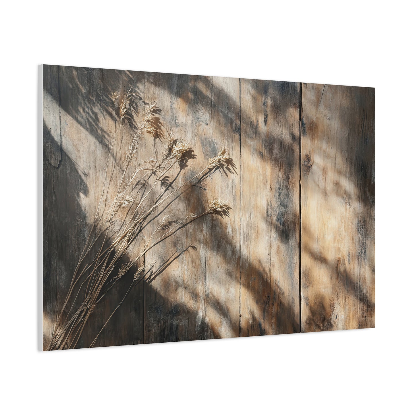 Kinfolk 008 (Sunlit Harvest)