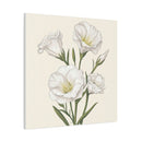 Eustoma 06