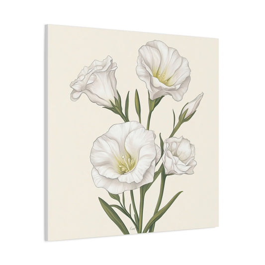 Eustoma 06