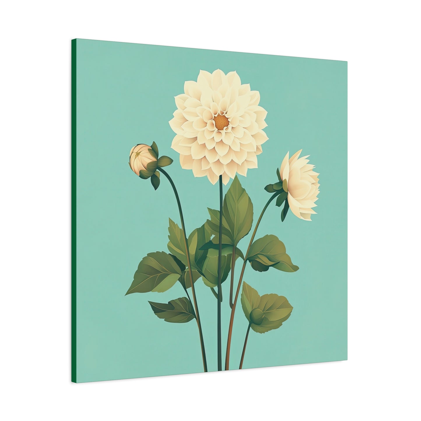 Dahlia 05