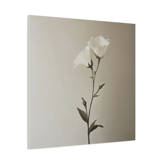 Eustoma 11