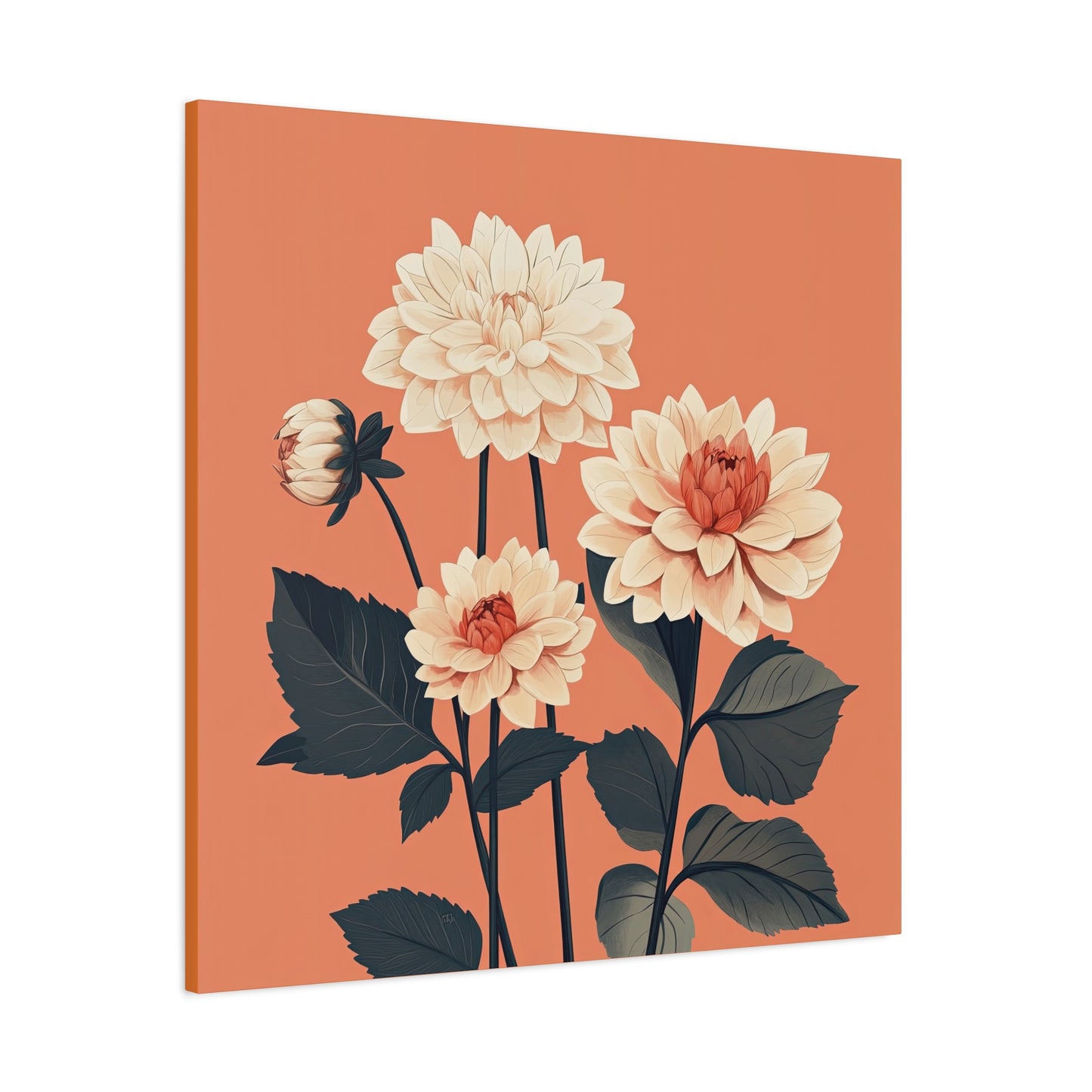 Dahlia 07