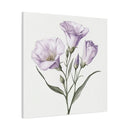 Eustoma 17