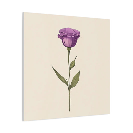 Eustoma 14