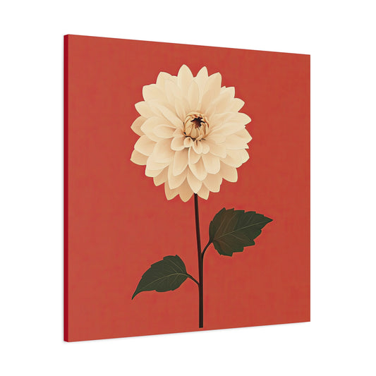 Dahlia 11