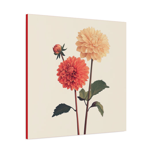 Dahlia 12