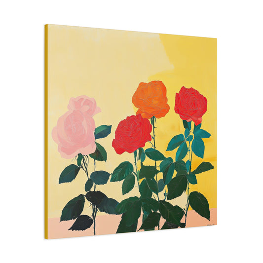 Roses 11