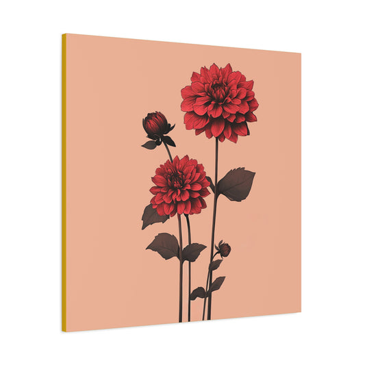 Dahlia 01