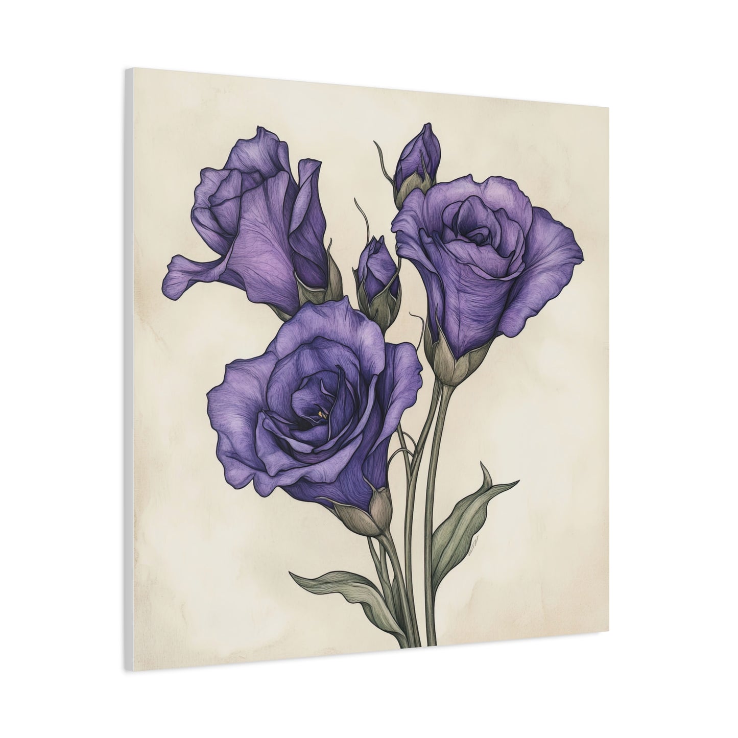 Eustoma 19