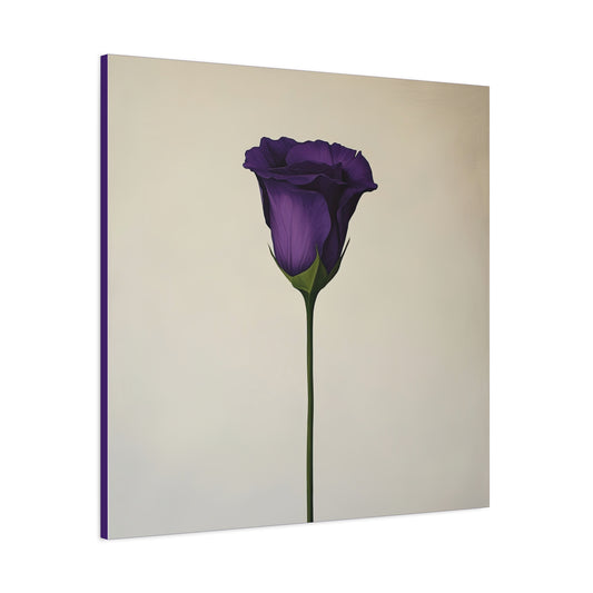 Eustoma 13