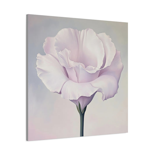 Eustoma 01