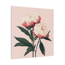 Peonies 08