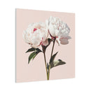 Peonies 05