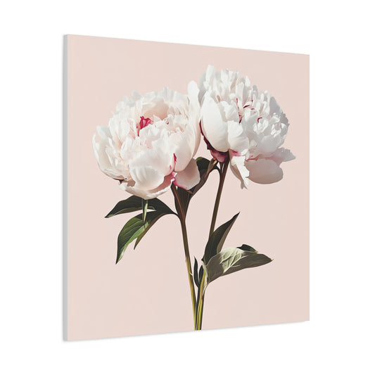 Peonies 05