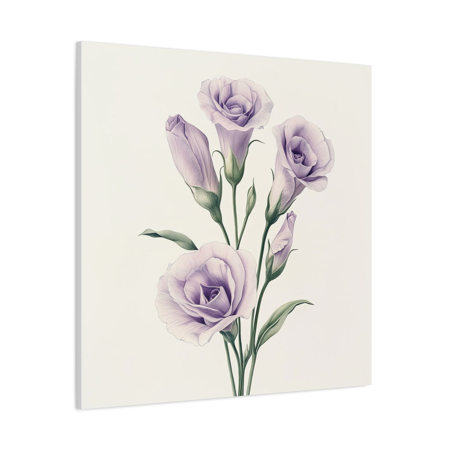 Eustoma 16