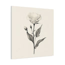 Eustoma 02