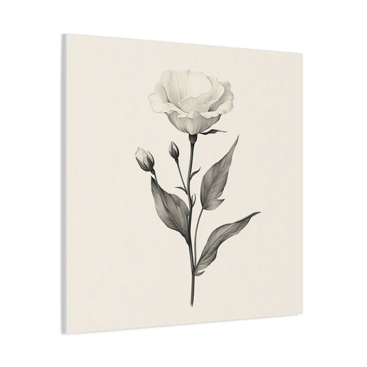 Eustoma 02