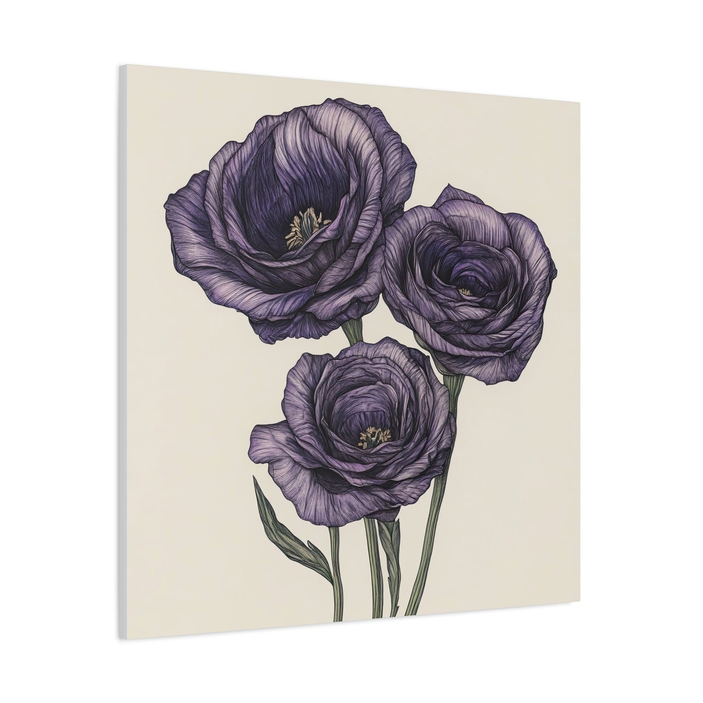 Eustoma 21
