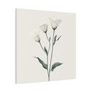 Eustoma 03