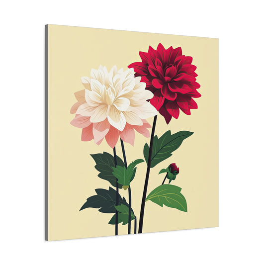 Dahlia 15
