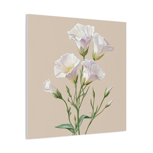 Eustoma 09