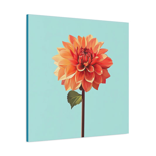Dahlia 03